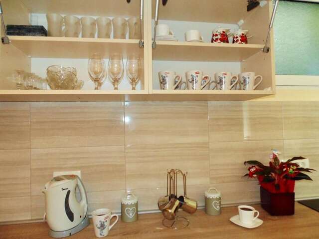 Апартаменты Brnovic Риека-Црноевича-56